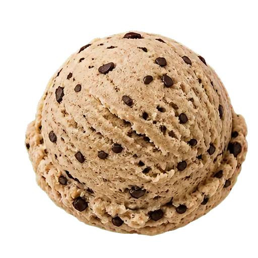 Coffee Chocolate Chip gelato