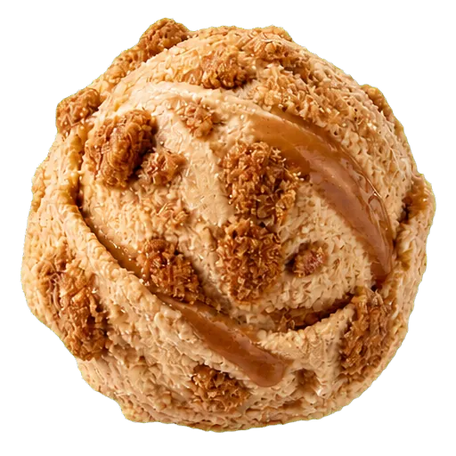 Cookie Butter (Speculaas) gelato