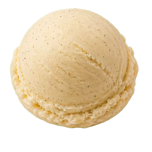 Madagascar Vanilla Bean gelato