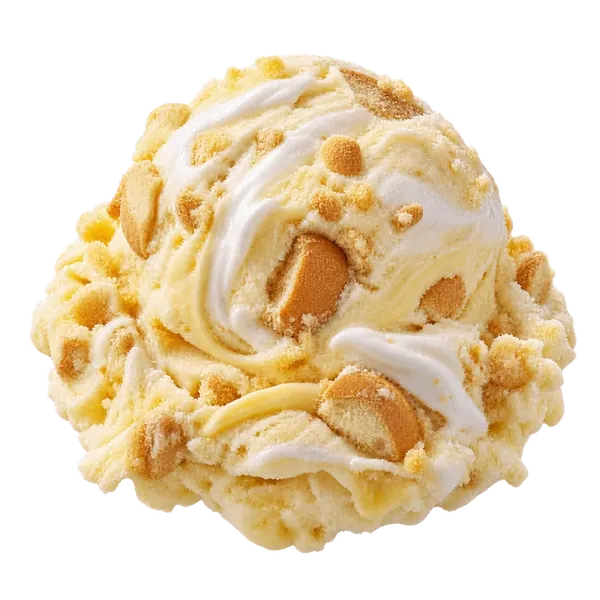 Banana Pudding ice cream