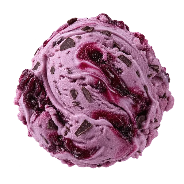 Black Raspberry Chip Yogurt yogurt