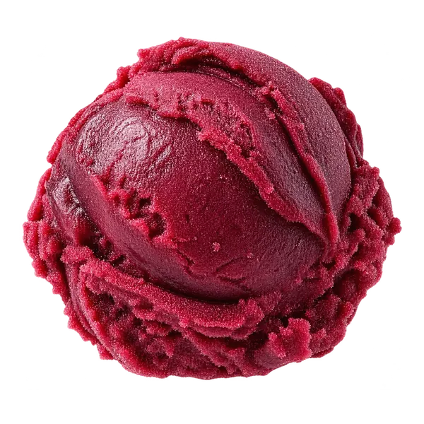 Black Raspberry Pomegranate Sorbet sorbet