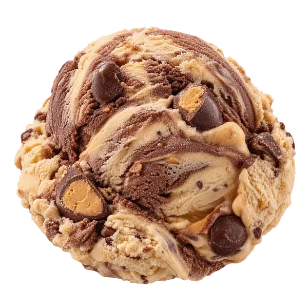 Campfire Peanut Butter ice cream
