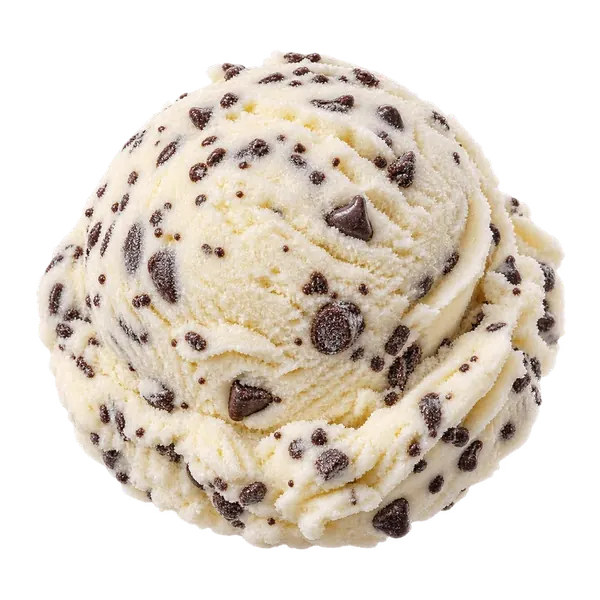 Chocolate Chip ice cream