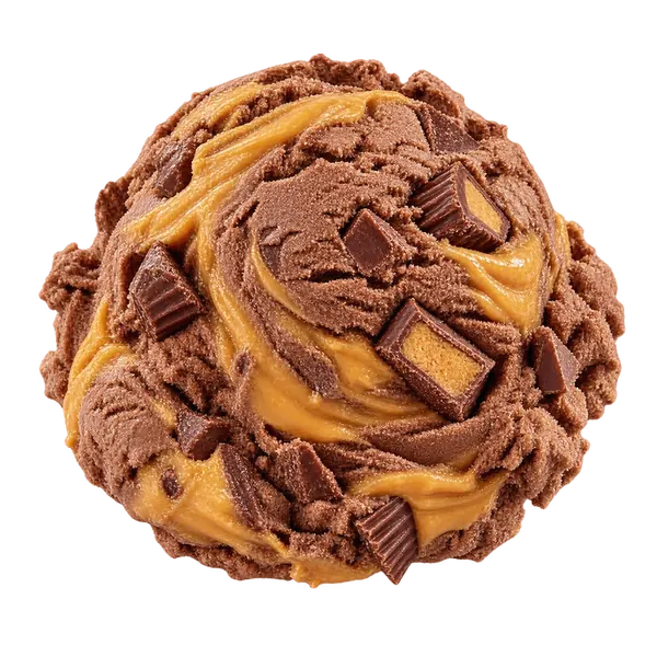Chocolate Peanut Butter ice cream