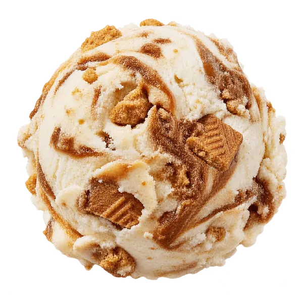 Dutch Cookie ice cream
