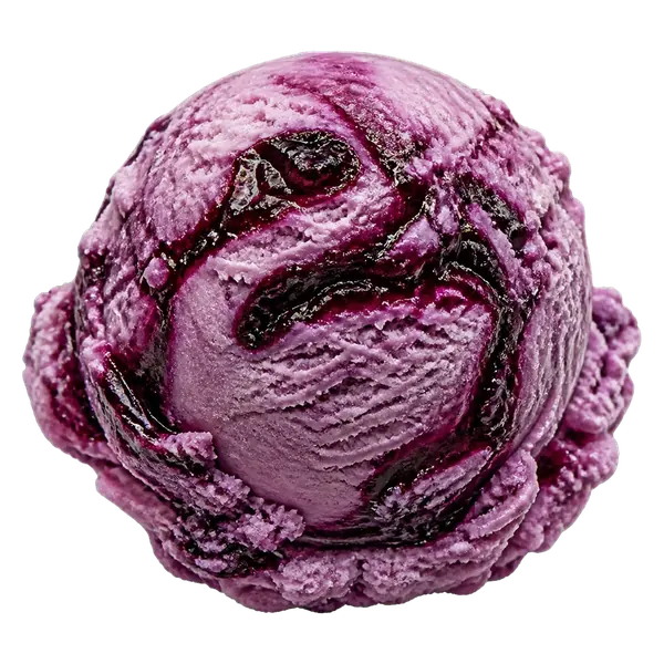 Marionberry Pie ice cream