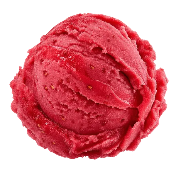 Raspberry Sorbet sorbet