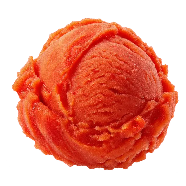 Sicilian Orange Sorbet sorbet