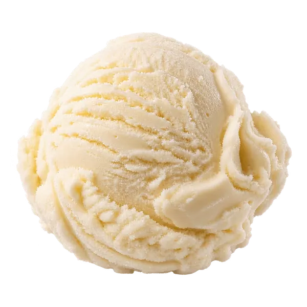 Signature Vanilla ice cream