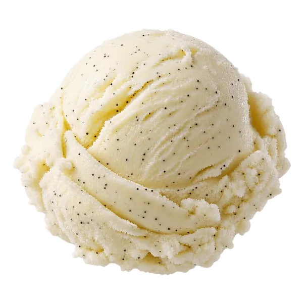 Vanilla Bean ice cream