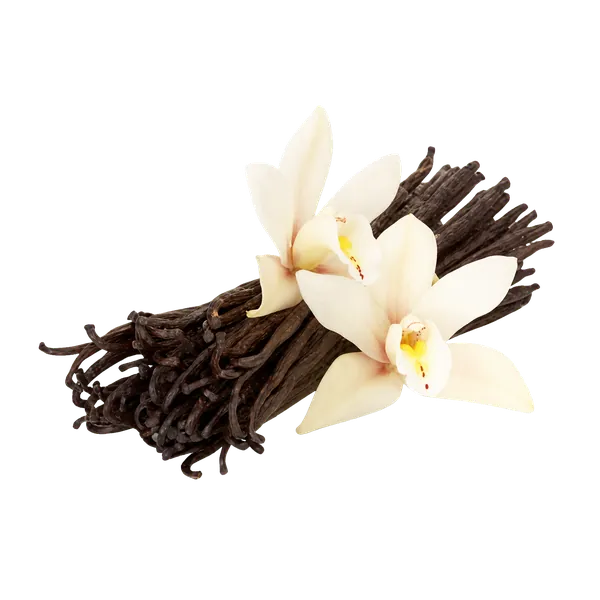 Tahitian Vanilla (NSA) no sugar added