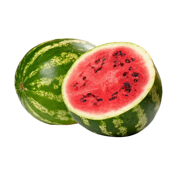 Watermelon Sorbet sorbet